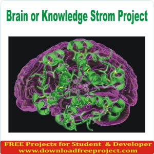 Brain or Knowledge Storm Project